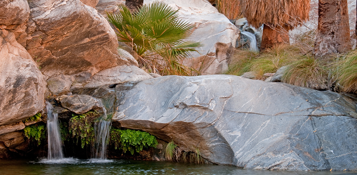 Desert oasis near Palm Springs, California with rocks